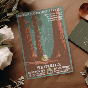 Vintage Retro Sequoia National Park Travel Postcard