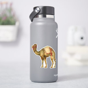 Vintage retro style circus performing camel