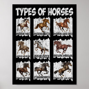 Vintage Retro Types Of Horses Poster