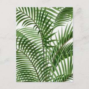 Vintage Retro Watercolor Palm Tree Leaves Holiday Postcard