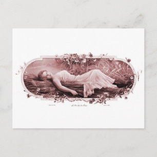Vintage Retro Women French Victorian Woman Postcard