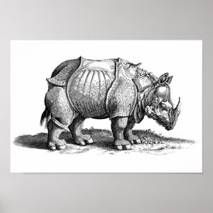 Vintage Rhino - Dürer's Rhinoceros Poster