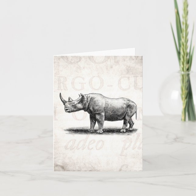 Vintage Rhinoceros Illustration Rhino Rhinos Card (Front)
