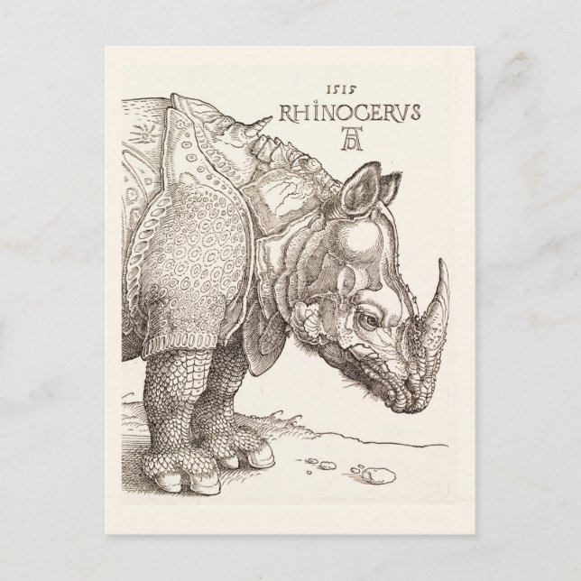 Vintage Rhinoceros Postcard (Front)