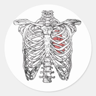 Vintage Ribcage & Heart Anatomy Halloween Classic Round Sticker