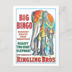 Vintage Ringling Bros Circus Ad - Giant Elephant Postcard