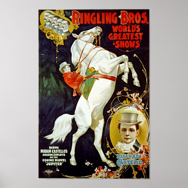 Vintage Ringling Bros. White Horse Poster (Front)