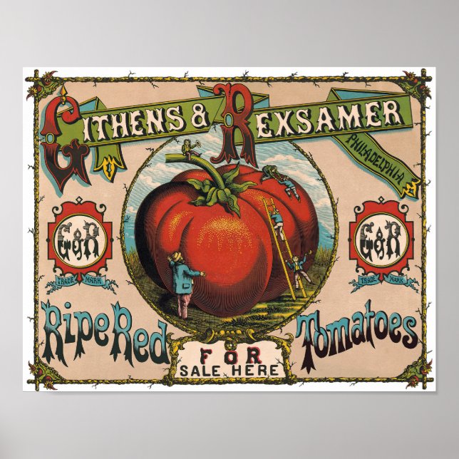 Vintage Ripe Red Tomatoes Poster (Front)