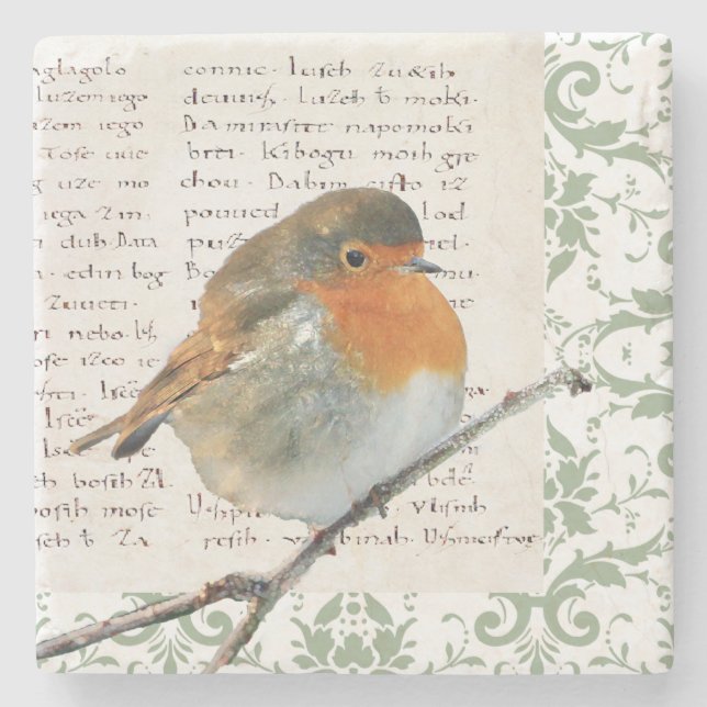 Vintage Robin bird green damask manuscript Stone Coaster (Front)