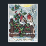 Vintage Robin Birds and Holly Merry Christmas Postcard<br><div class="desc">Send a Christmas postcard and you will save on postage. If you are a fan of the vintage era and you love birds then this Christmas postcard will appeal to you. The image features a winter scene with a church in the background and a holly branch with berries growing next...</div>