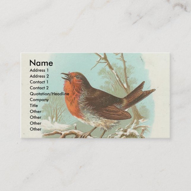Vintage Robin Business Card (Front)