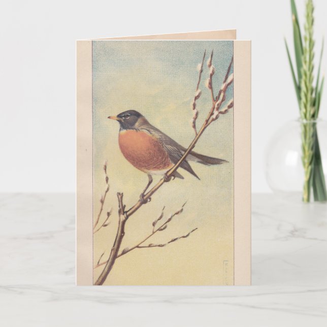 Vintage Robin Greeting Card (Front)