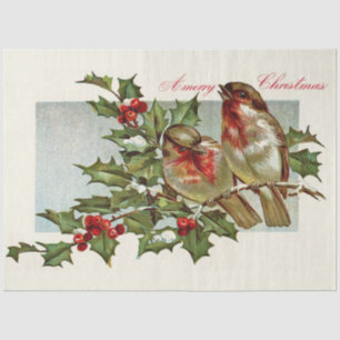 Vintage Robins And Mistletoe Tissue Paper
