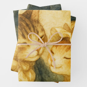 Vintage Romantic Cat Pride and Prejudice Birthday Wrapping Paper Sheet