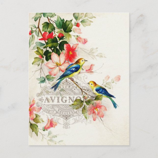 Vintage Romantic French Birds Stationary Postcard (Front)