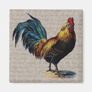 Vintage Rooster and Antique Text Collage - Custom Magnet