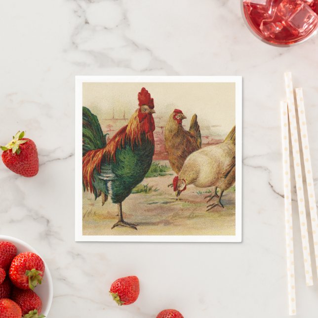 Vintage Rooster and chickens any purpose napkins (Insitu)