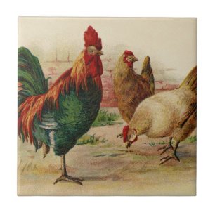 Vintage rooster and chickens home decor tile