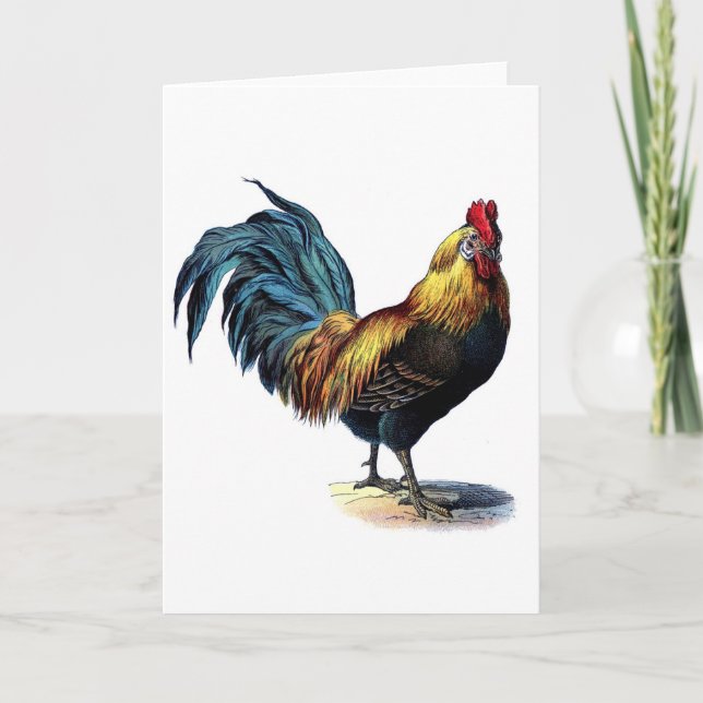 Vintage Rooster Card (Front)