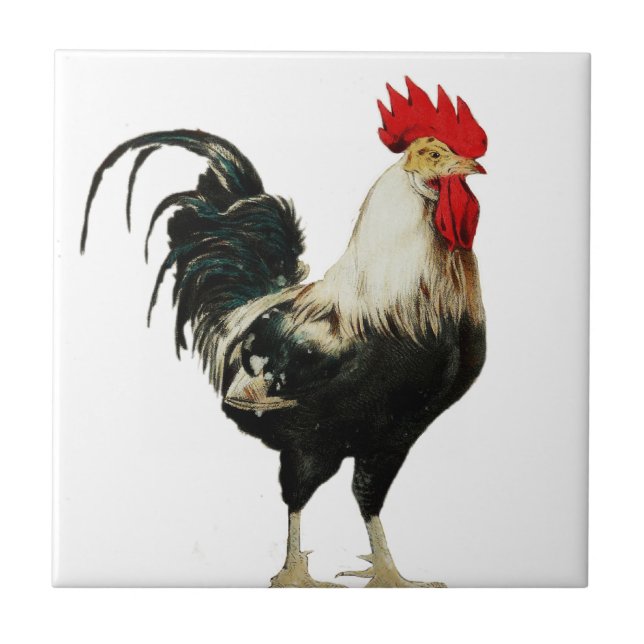Vintage Rooster Chicken Customise Animal best Tile (Front)