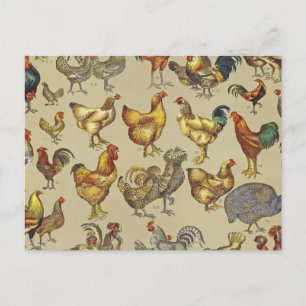Vintage Rooster Chicken Pattern: Farmhouse Art Postcard