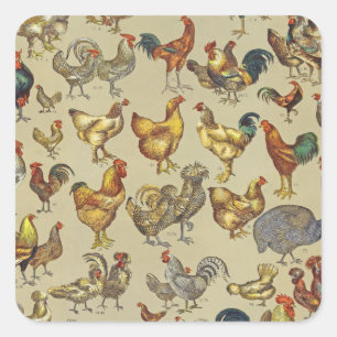 Vintage Rooster Chicken Pattern: Farmhouse Art Square Sticker