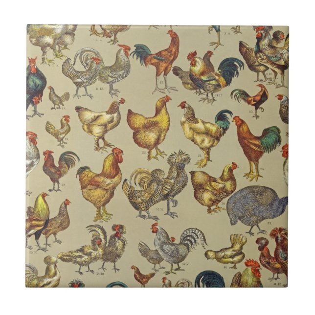 Vintage Rooster Chicken Pattern: Farmhouse Art Tile (Front)
