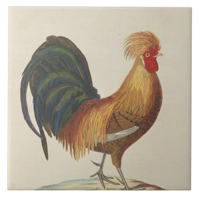 Vintage rooster decor ceramic tile (Front)