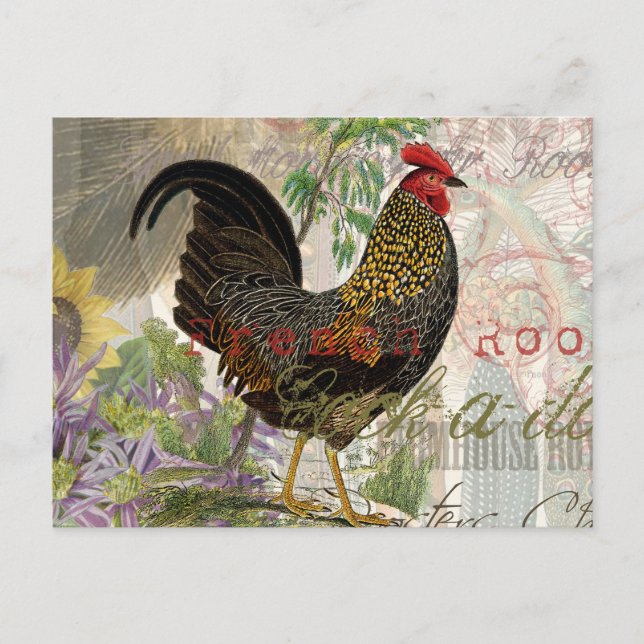 Vintage Rooster French Collage Farm Pet Postcard (Front)