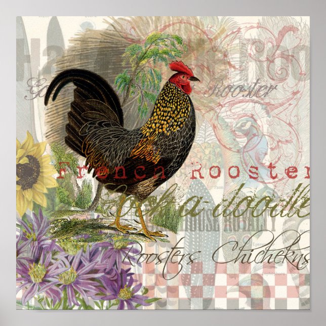 Vintage Rooster French Collage Farm Pet Poster (Front)