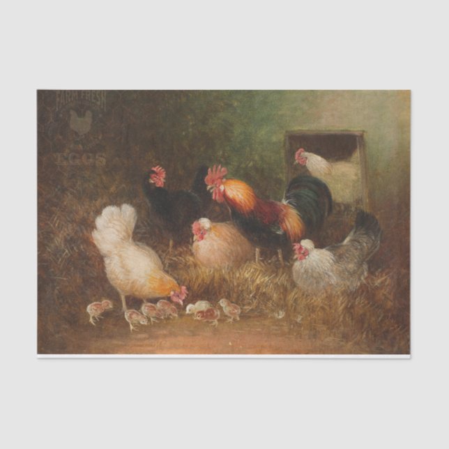 Vintage Rooster, Hens, and Chicks Painting Tissue Paper (Front)