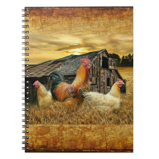 Vintage Rooster Hens Rustic Barn Coop Notebook (Front)