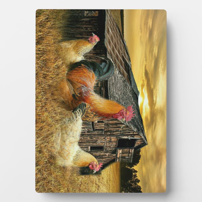 Vintage Rooster Hens Rustic Barn Coop Plaque (Front)
