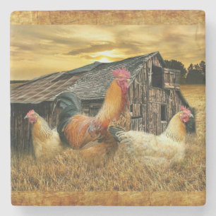 Vintage Rooster Hens Rustic Barn Coop Stone Coaster