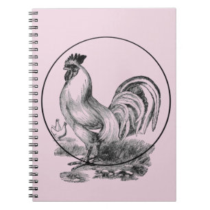 Vintage rooster illustration book