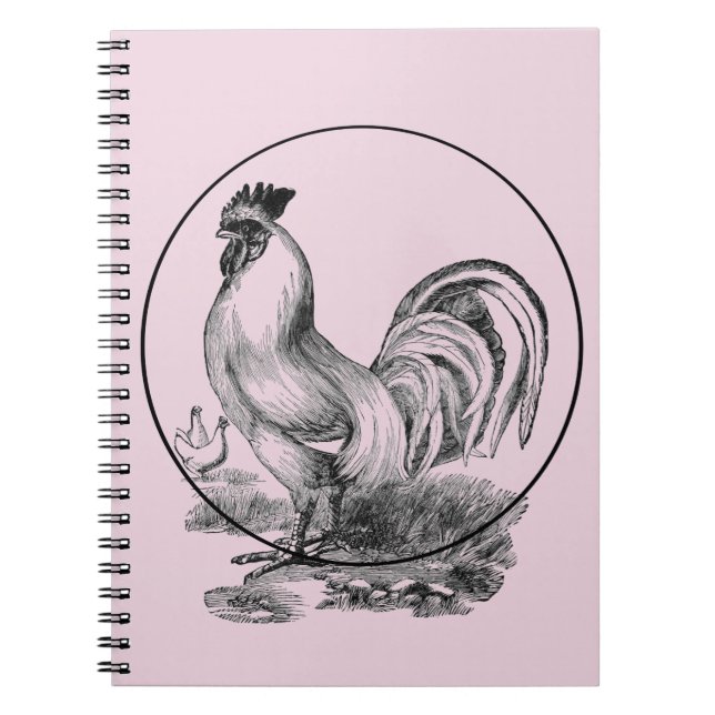 Vintage rooster illustration book (Front)