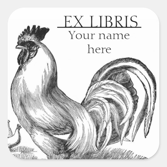 Vintage rooster illustration bookplate square sticker (Front)