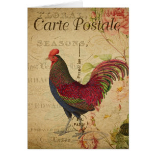 Vintage Rooster Postcard Collage Blank Inside