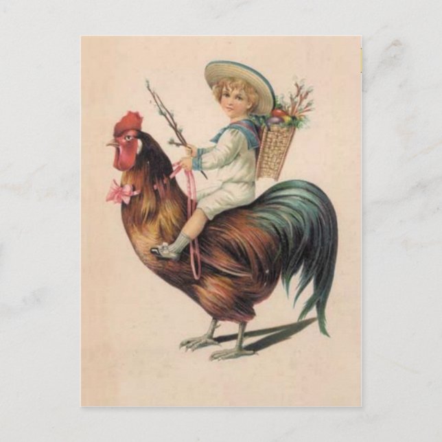 Vintage Rooster Ride Postcard (Front)