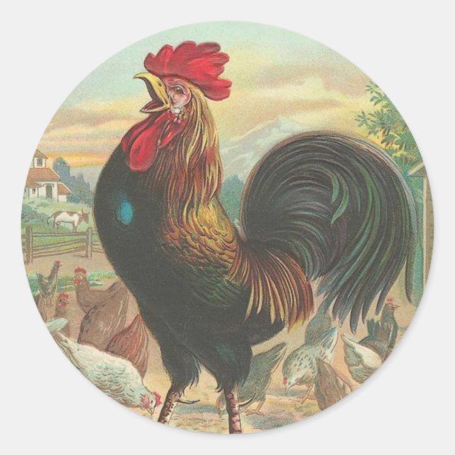 Vintage Rooster Stickers (Front)