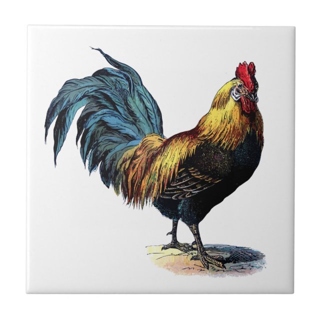 Vintage Rooster Tile (Front)
