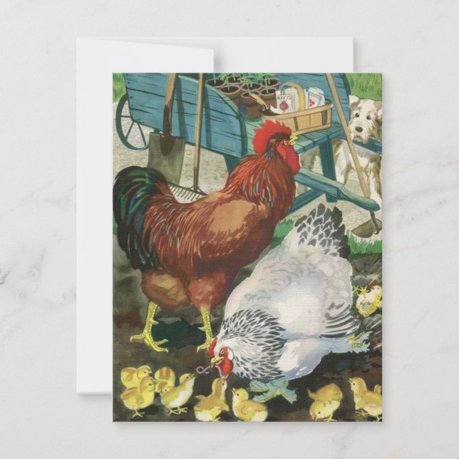 Vintage Rooster With Family Chickens Holiday Card (Front)