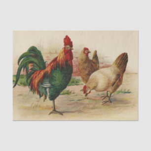 Vintage roosters and hens party tissue tissue paper