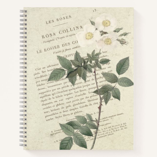 Vintage Rosa Collina Notebook (Front)