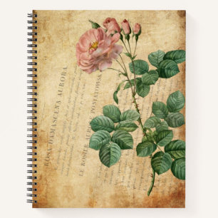 Vintage Rosa Damascena Aurora Notebook