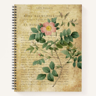 Vintage Rosa malmundariensis Notebook