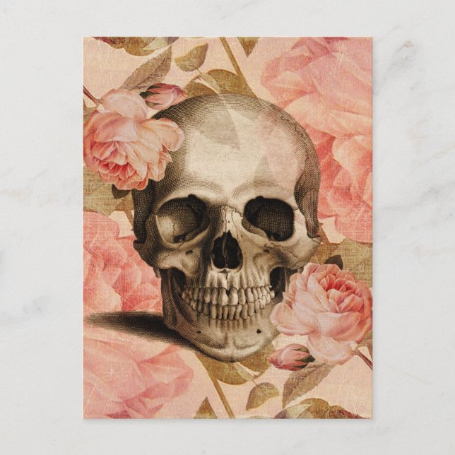Vintage Rosa Skull Collage Postcard (Front)