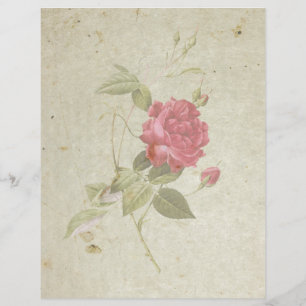 Vintage Rose 8.5" x 11" Flat Paper Sheet