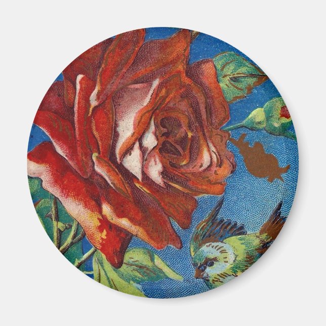 Vintage Rose and Bird Magnet (Front)