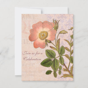 Vintage Rose Birthday Party Invitation